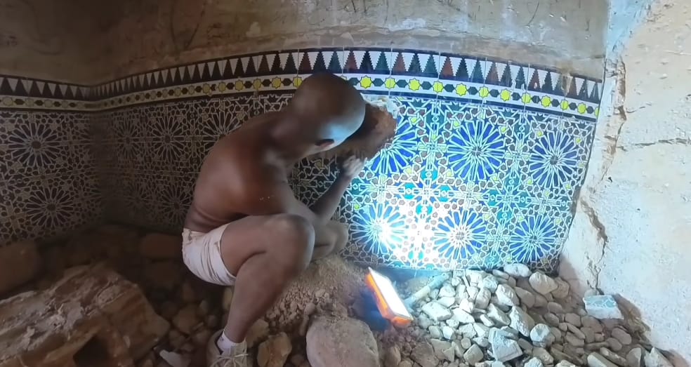 Un Youtubeur au cœur d'une polémique animale : les conséquences de ses actes